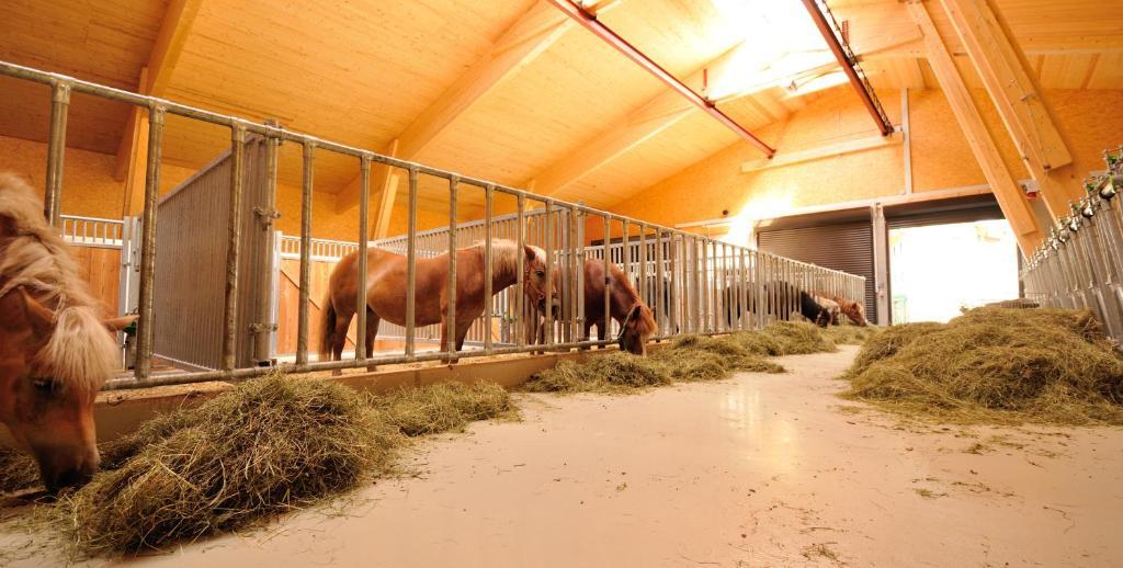 Bodenhof Ferienwohnungen Fieberbrunn Exterior foto